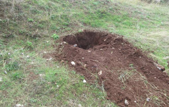 Godišnjica otmice novinara