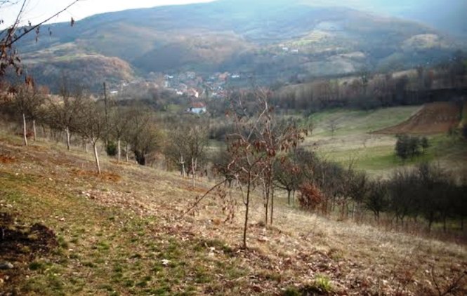 Opštine na severu odbile popis poljoprivrednog zemljišta