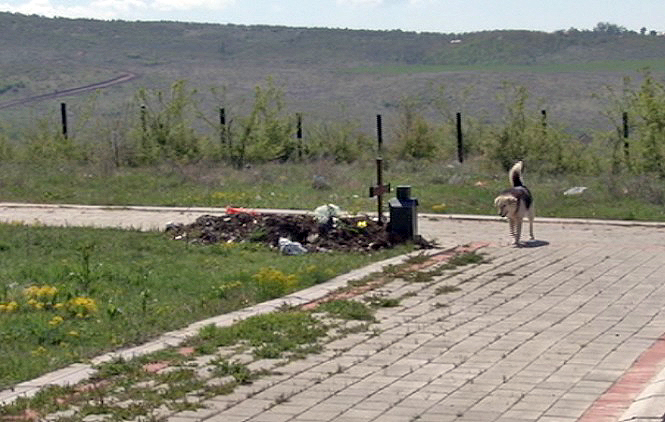 Gračanica: Groblje iz 2013. i dalje prazno