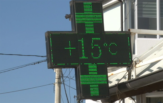 Januarsko proleće, uskoro sneg