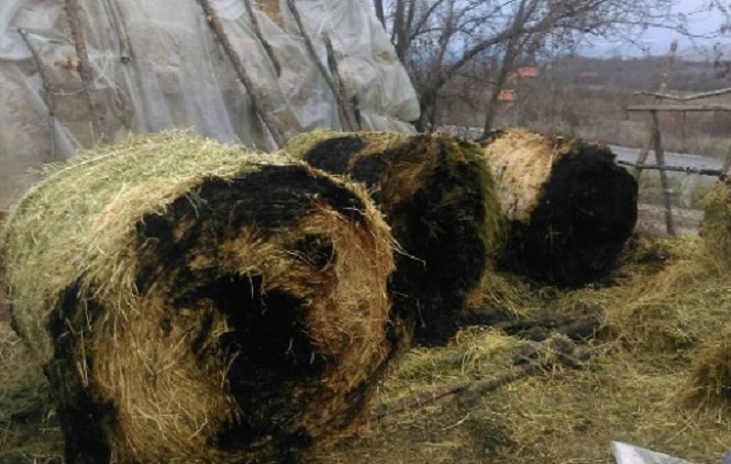 Istok: Ponovo zapaljena letina srpskim povratnicima