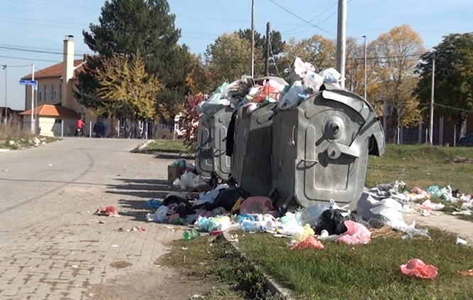 Gračanica: Sadite cveće, ne bacajte smeće!