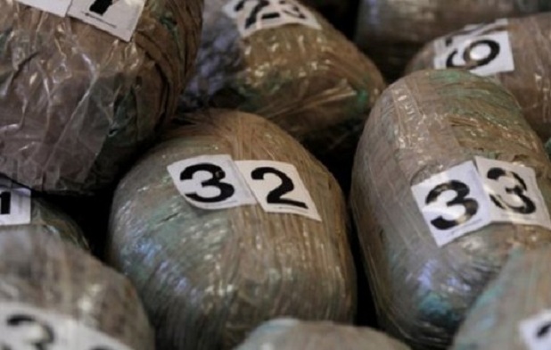 Zaplenjeno blizu 26 kilograma marihuane, uhapšen Zvečanac