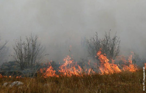 Srbima u Žaču izgoreli delovi šume