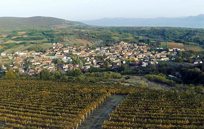 Blaga KiM: Velika Hoča