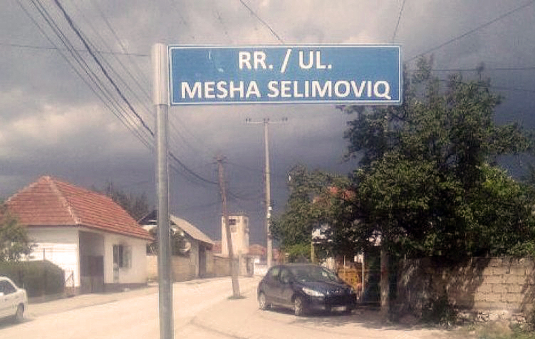 Jezički paradoks i velike zamene teza