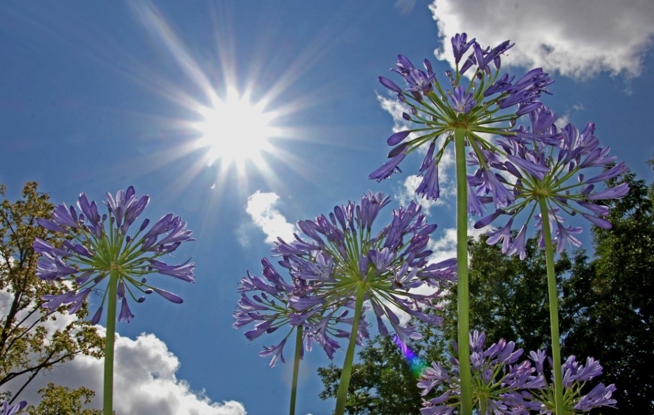 Sunčano, temperatura do 37 stepeni