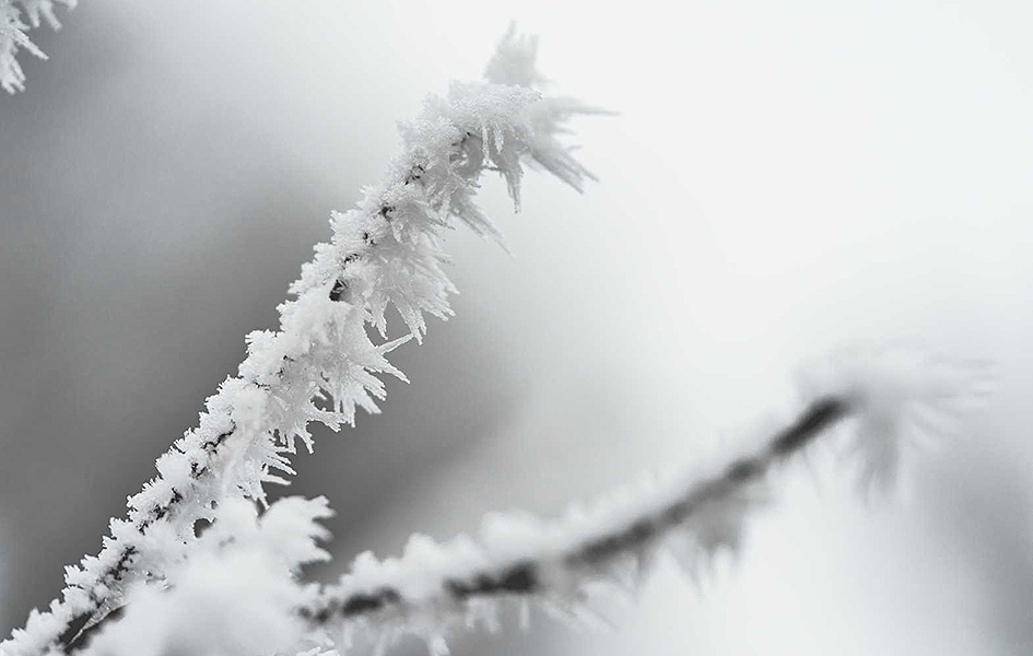 Hladno uz slabije provejavanje snega