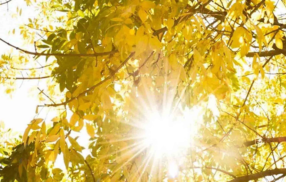 Sunčano i prijatno toplo