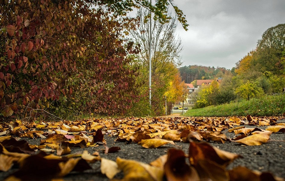 Oblačno ali suvo, do pet stepeni