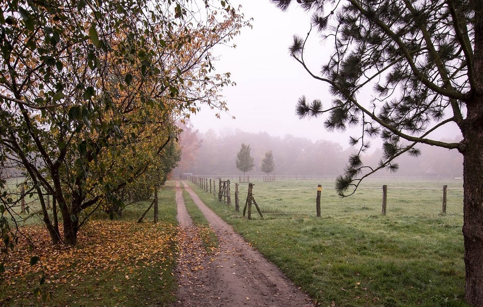 Malo do umereno oblačno i suvo
