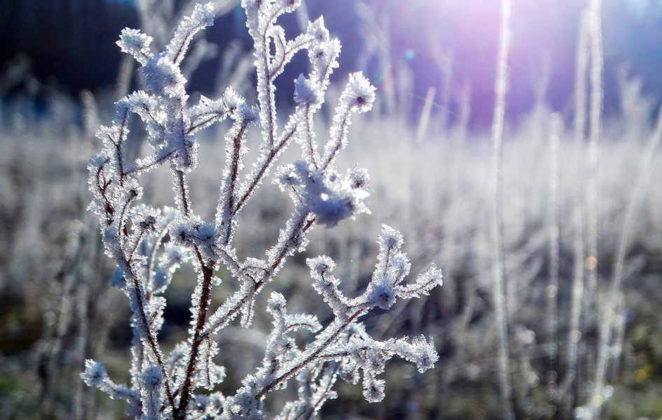 Sunčano i hladno