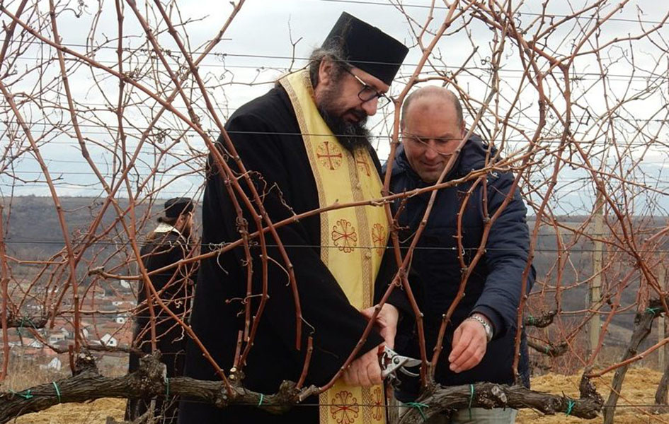 Obeležavanje Svetog Trifuna sutra u Velikoj Hoči