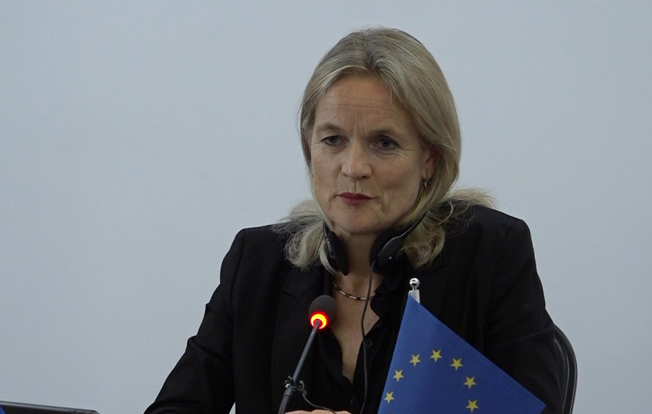 „Nekažnjavanje ubistava i nestanka novinara mora biti prioritet za Vladu“ Viola fon Kramon (Foto Kim)