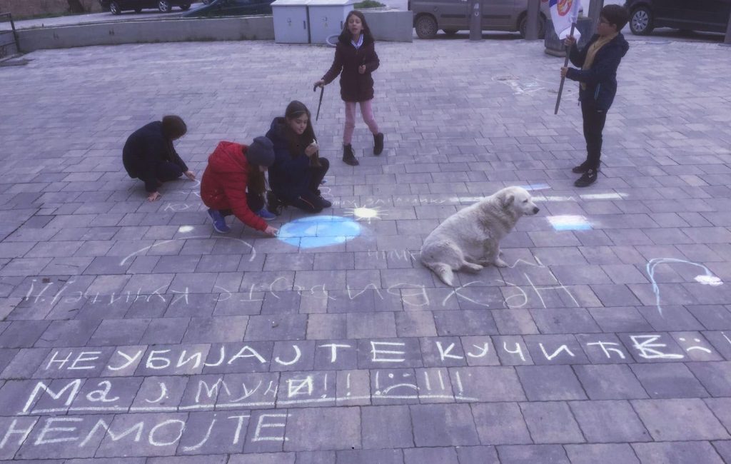Novo trovanje pasa u K.Mitrovici, Šapa poziva na oprez Deca uputila poruku protiv trovanja pasa (Foto Udruženje za zaštitu životinja ''Šapa'')