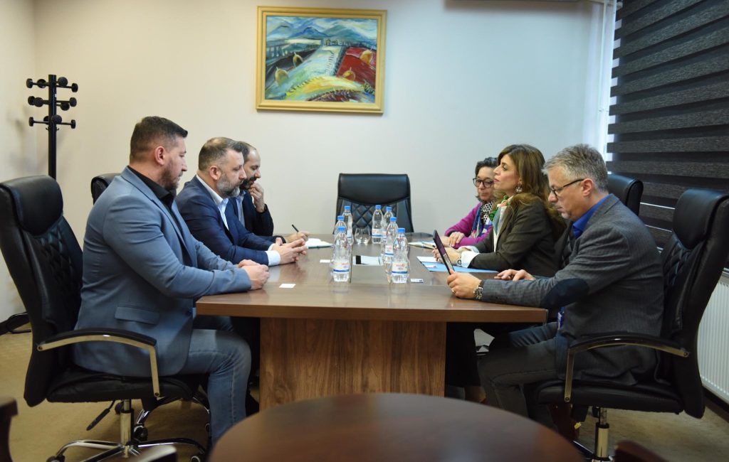 Dalibor Jevtić na sastanku sa Karolinom Zijade (Foto Fejsbuk / Opština Štrpce)
