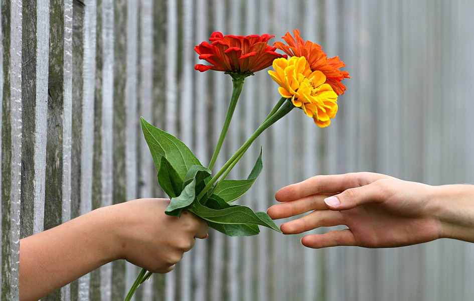 Međunarodni Dan žena obeležava se širom sveta Ilustracija (Foto Pixabay.com)