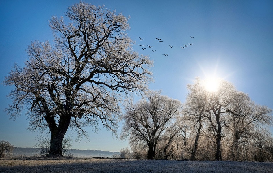 Ujutru mraz, tokom dana sunčano i toplije Ilustracija (Foto Pixabay)