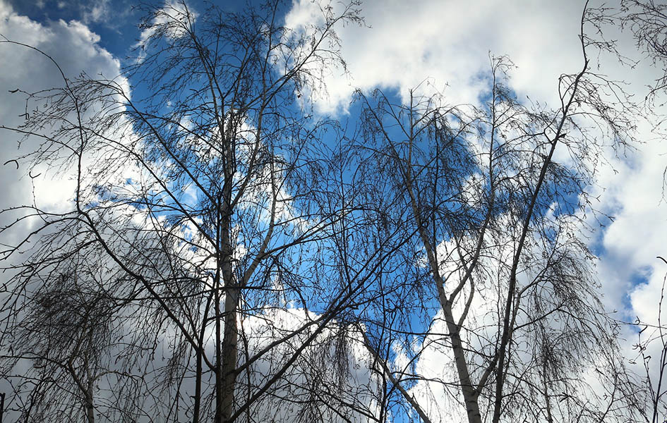 Delimično oblačno Ilustracija (Foto Pixabay)