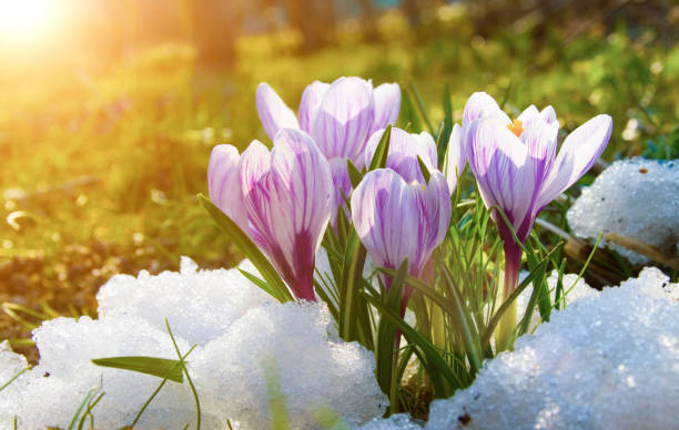 Pretežno sunčano Ilustracija (Foto Pixabay)