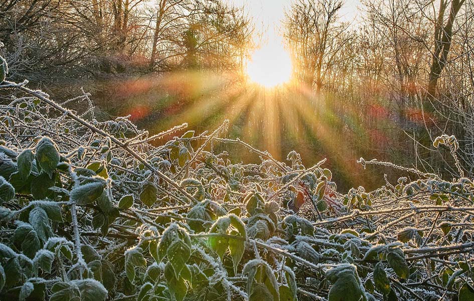 Ujutru mraz, tokom dana sunčano i toplije Ilustracija (Foto Pixabay)
