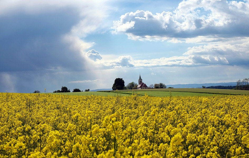 Naoblačenje u drugom delu dana, pljuskovi za vikend Ilustracija (Foto Pixabay)