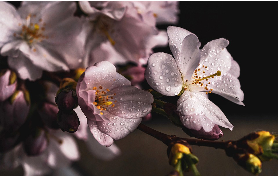 Smena sunca i oblaka Ilustracija (Foto Pixabay)