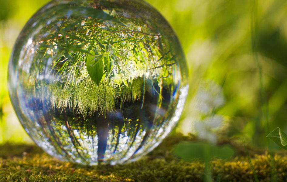Obeležavanje Dana planete Zemlje Ilustracija (Foto Pixabay)
