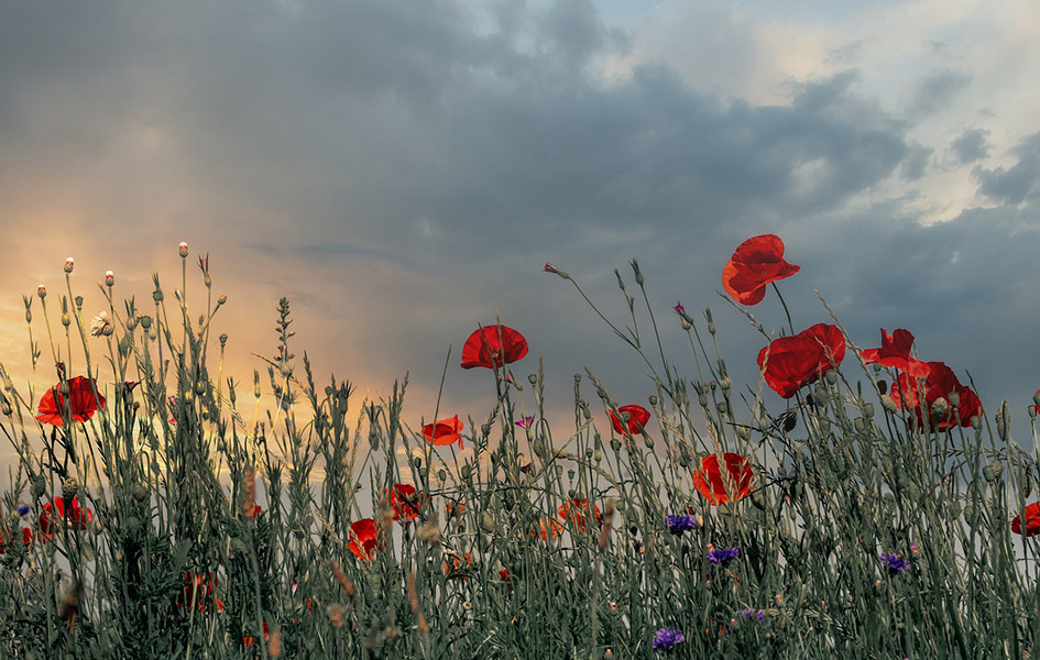 Promenljivo i nestabilno Ilustracija (Foto Pixabay)
