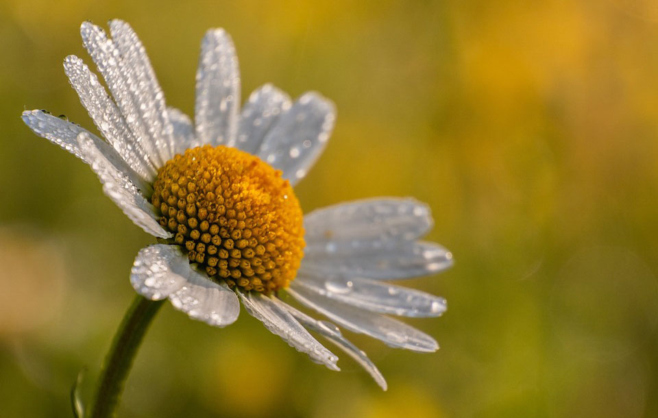 Smena sunca i oblaka, moguća kiša Ilustracija (Foto Pixabay)