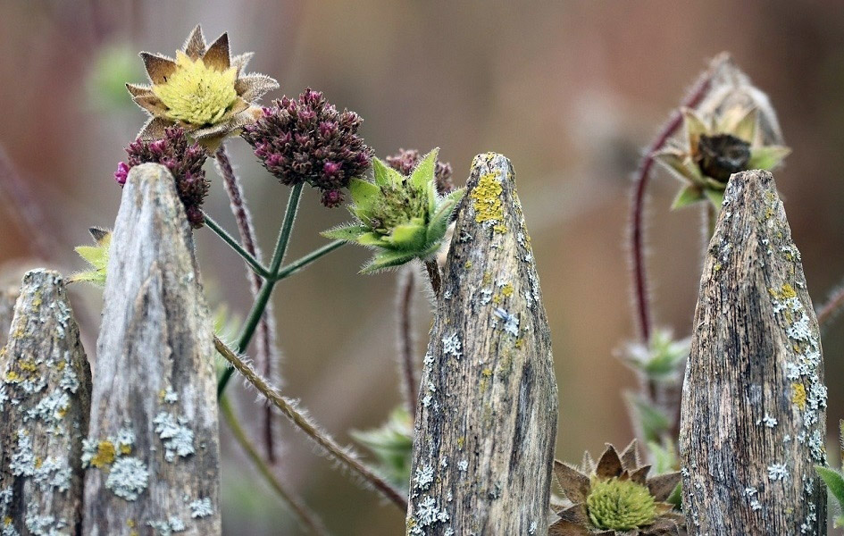 Oblačno, uveče prestanak padavina i razvedravanje Ilustracija (Foto Pixabay.com)