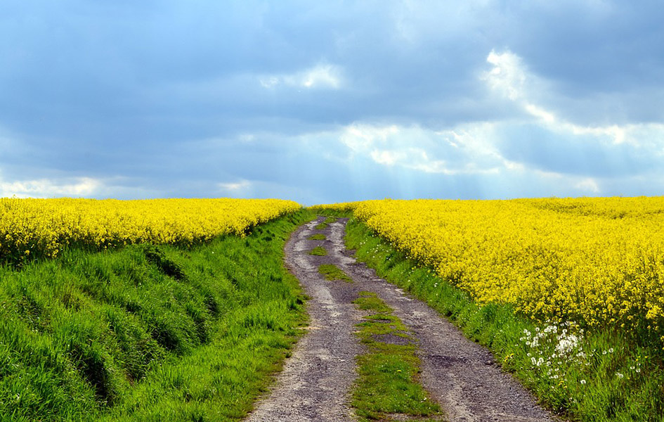 Promenljivo vreme Ilustracija (Foto Pixabay.com)