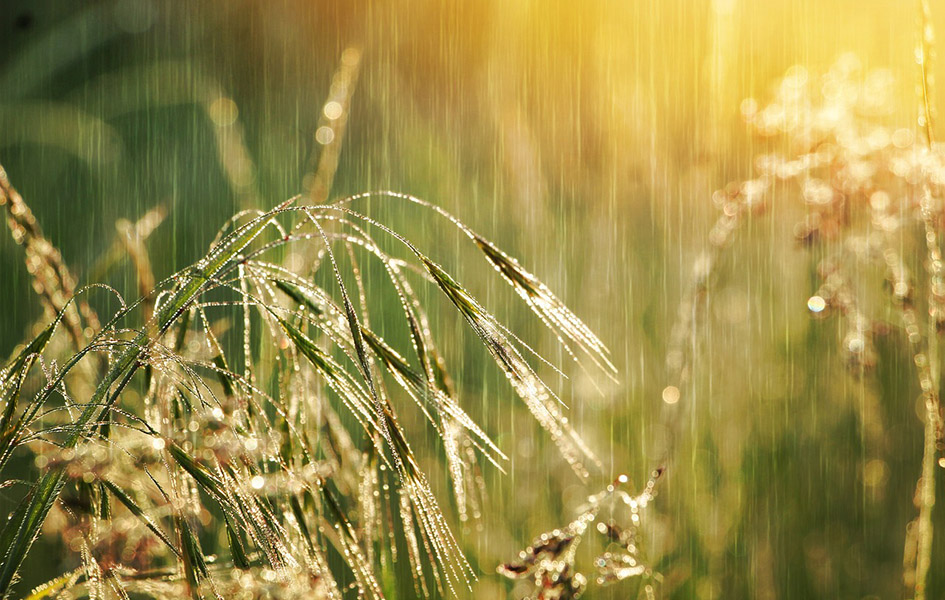 Oblačno, mestimično sa kišom Ilustracija (Foto Pixabay)