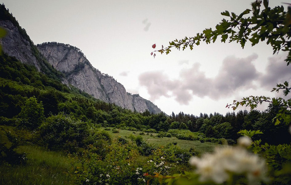 Promenljivo, kiša popodne Ilustracija (Foto Pixabay.com)