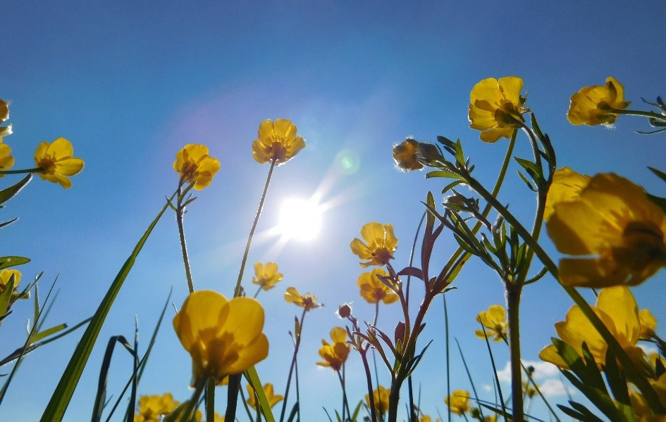 Toplo, temperatura do 35 stepeni