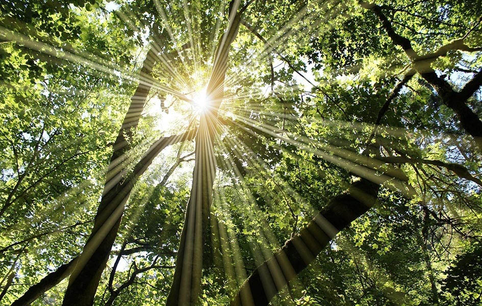 Za početak radne sedmice sunčano i toplo