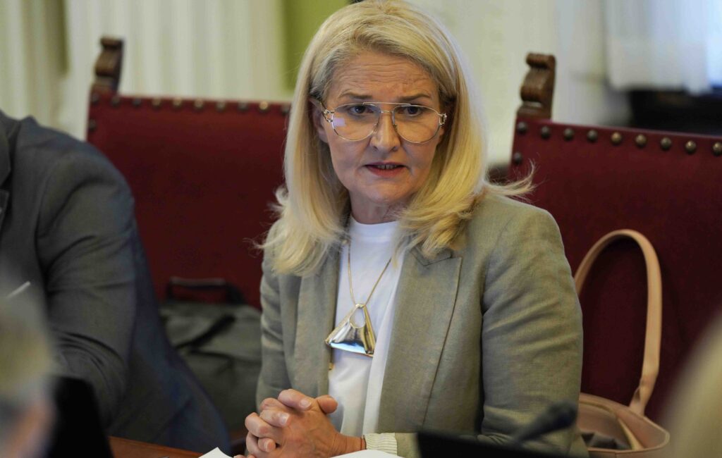 Miščević: Izjava o spremnosti EU na proširenje do 2030. je cilj a ne obećanje