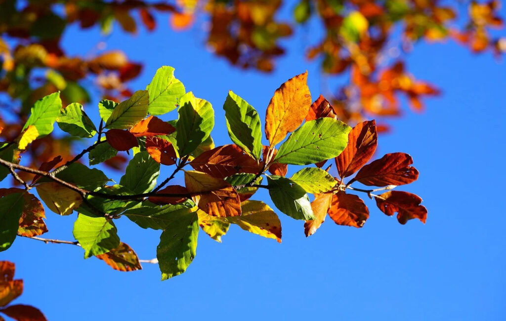 Sunčano, temperatura do 25 stepeni