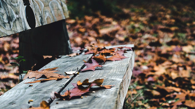 Delimično oblačno i toplije Ilustracija (Foto Pixabay)