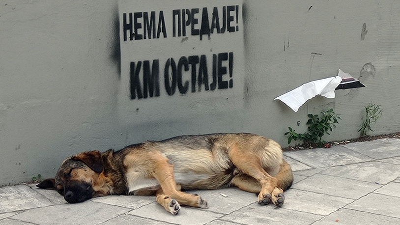 Preregistracija: Da li ćutnja vlasti u Beogradu znači pristajanje na uslove Prištine Grafit u Severnoj Mitrovici, septembar 2022. (Foto arhiva Kim)