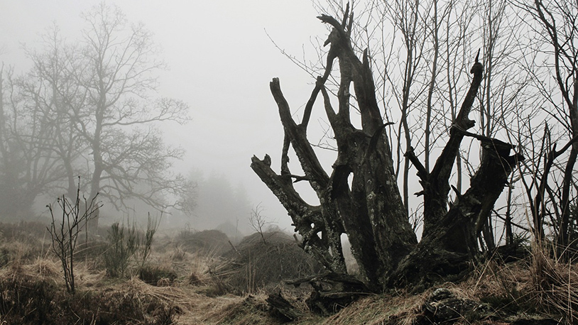 Stižu snegovi i temperature ispod nule Ilustracija (Foto Pixabay)