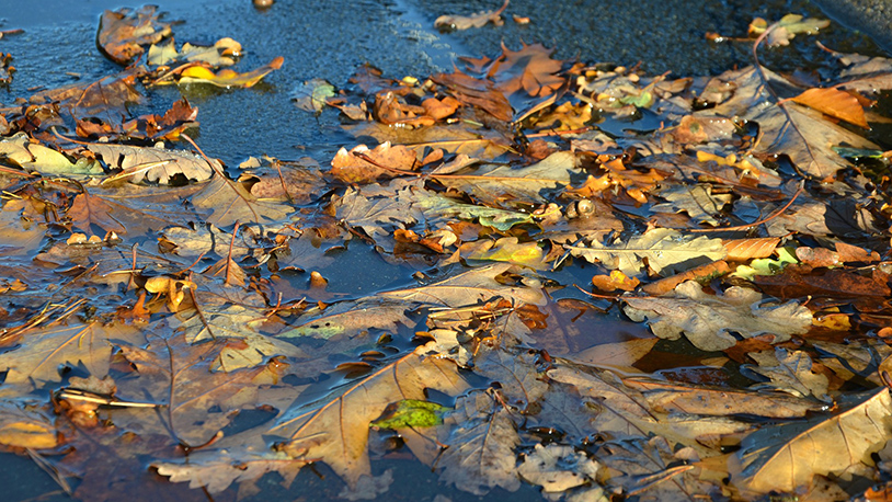 Oblačno i toplo, povremeno slabe padavine Ilustracija (Foto Pixabay)