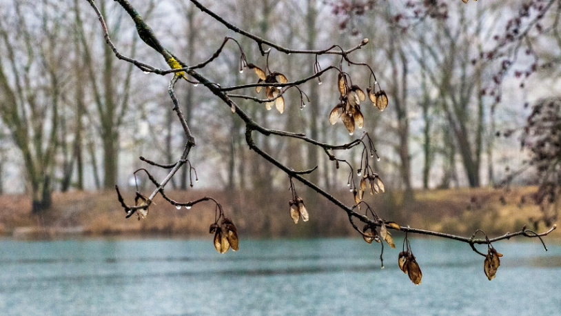 Počela zima, a temperature prolećne Ilustracija (Foto Pat/Pixabay)