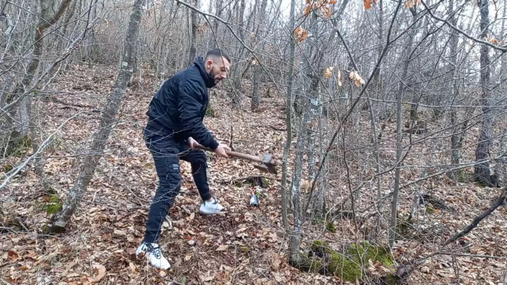 Seča badnjaka u Gračanici: Običaji koji se prenose sa kolena na koleno