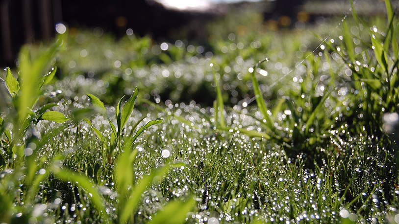 Temperatura bez veće promene Ilustracija (Foto Linda/Pixabay)