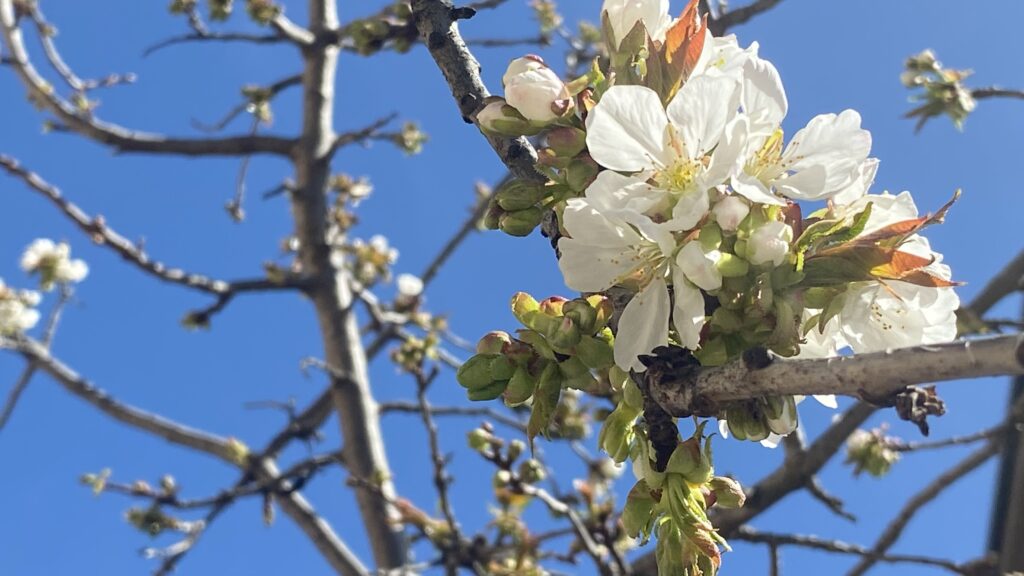 Stabilno i vrlo toplo za prvu dekadu aprila Ilustracija (Foto Kim)