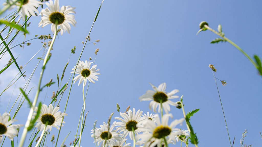Sunčano i toplo Ilustracija (Foto Pixabay)