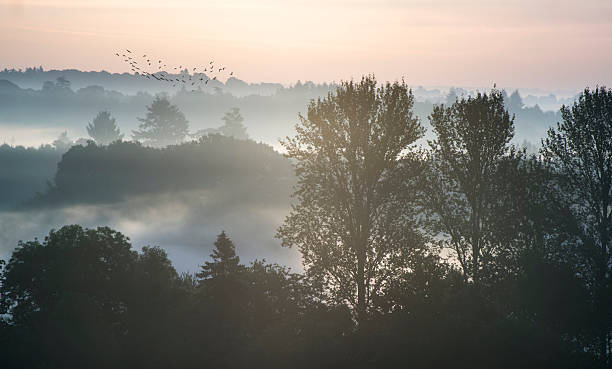 Magla i oblaci Magla i oblaci (Foto Istock)