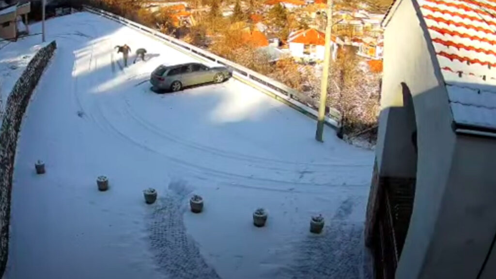 Policija istražuje ispisivanje UČK u snegu ispred manastira Banjska (Foto printskrin video ERP)