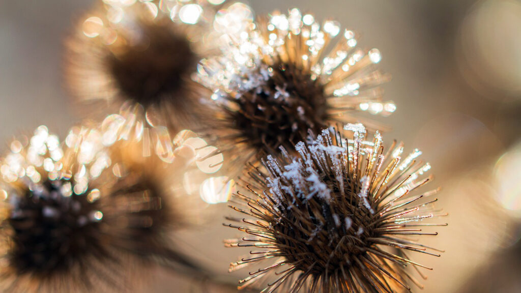 Hladno jutro i sunčan dan Hladno jutro i sunčan dan, ilustracija (Foto Pixabay)